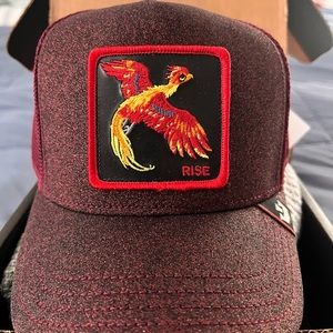Goorin Bros. “RISE” Phoenix trucker.